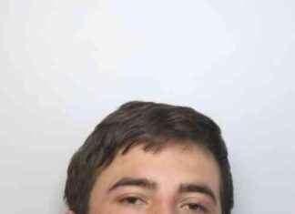 Arrest Made in Delivery Driver Murder Case: Police Capture Suspect news-22082024-162649