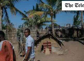 Mozambique Gas Industry Threatened by Islamic State Extremists: Impact and Solutions news-23082024-113057
