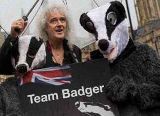 Badger Cull Film Sparks Outrage Similar to Post Office Scandal, Says Brian May news-23082024-234231