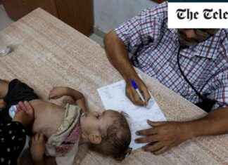Potential Spread of Polio in Middle East if Gaza Truce Talks Fail, WHO Warns news-24082024-114538