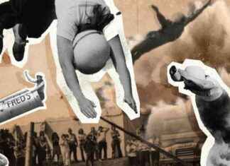 The ‘Human Cannonball’ Daredevil Flies Across River in Spectacular Stunt news-25082024-115223