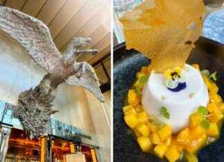 Discover the Summer Menu at a Stunning Central London Restaurant news-26082024-114802