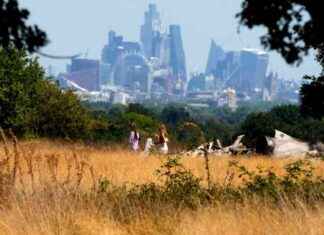Rain Warning and Heatwave Alert in London: Prepare for Changing Weather news-26082024-235616