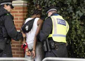 Notting Hill Carnival Stabbings: Mother Among Three Critical, 330 Arrests news-27082024-120006