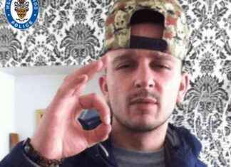 Police Confirm XL Bullies Seized After Man Found Dead in Garden news-28082024-000753