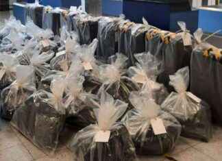 Beware: Cannabis Couriers Targeted by Traffickers in the UK, Warns NCA news-28082024-121152