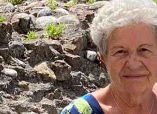 Survival Story: 89-Year-Old Grandma Lost in Alps Befriends Fox to Survive news-29082024-122102