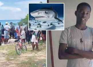 Tragic Incident: 16-Year-Old Boy Decapitated by Shark While Diving Alone news-29082024-122155