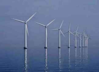 Financial Services: The Least Trusted Industry in the World – Insights from Octopus Group news-29082024-122222