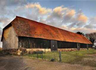 Discover Hidden Gems at Open House Festival: Explore Unseen Local Spots news-30082024-001631