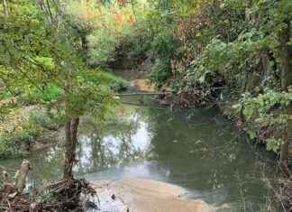 Ealing Activists Unite with Feargal Sharkey for Water Clean-Up Protest news-30082024-001806