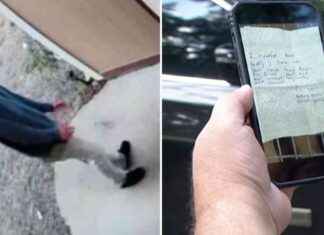 Bizarre Note Left by Spaghetti-Eating Burglar in Home Break-In news-30082024-002459