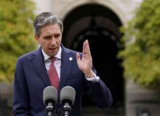 Ireland Seeks Legal Advice on Trade Relations with Israel news-30082024-122547