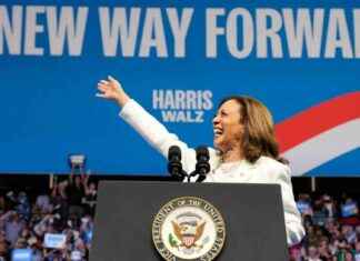 Unveiling Kamala Harris: A Closer Look at the Politician Beyond the Spotlight news-30082024-122824