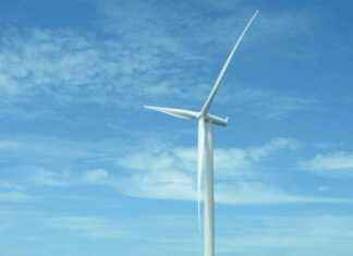 Achieving Sustainability in Business: Lottoland’s Success Story news-31072024-210238