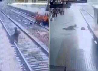 Miraculous Rescue: Police Officer Saves Woman Crushed by High-Speed Train news-31082024-123056