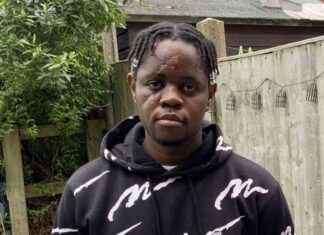 Racial Attack: Men Celebrate as Car Mows Down NHS Worker news-01102024-020330