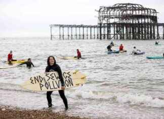 Water Industry Body: Dividend Payouts vs Infrastructure Investment – An Analysis news-02092024-003906