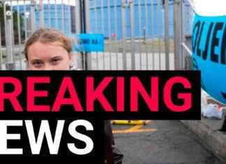 Greta Thunberg Arrested at Pro-Palestine Protest: What Happened? news-04092024-124912