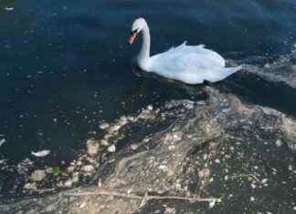 Water Company Executives Could Be Jailed for Illegal Sewage Dumping news-05092024-005255