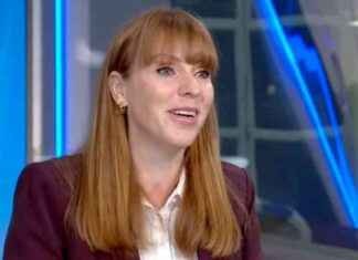 Rayner Does Not Set Deadline for Cladding Removal Post-Grenfell Report: Live Updates news-05092024-125244