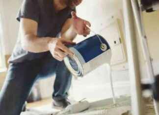 DIY Sector Struggles: Wickes Reports 24% Profit Decline news-10092024-094430