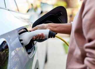 Save 15% on Electric Car Charging with bp for Three Days news-10092024-121754