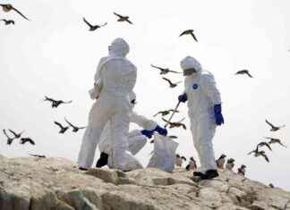 First Human Case of Bird Flu without Animal Exposure: A Concerning Development news-10092024-122328