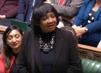 Diane Abbott Alleges Peter Mandelson Sabotaged Black MPs Success news-10092024-151644