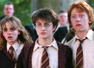 Harry Potter HBO Series Open Casting for Harry, Ron & Hermione Roles news-10092024-152212