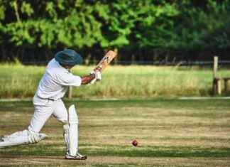 Top 10 Cricket Leg Pads for Ultimate Comfort and Protection news-12092024-212811