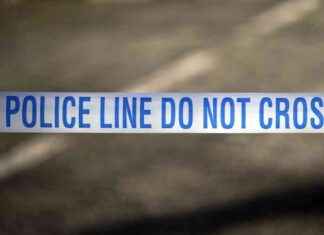 Fatal Assault in Brentwood Leads to Arrest of 38-Year-Old Suspect news-13092024-073258