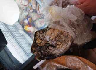 Bizarre Discovery: Mystery Animal Head Found in Freezer at Hayes Store news-14092024-034835
