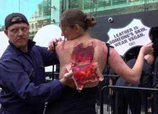Violent Incident at London Fashion Week Anti-Leather Protest news-14092024-115528