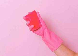 Top Cleaning Product Deals to Expect in Amazon Prime Big Deal Days 2024 news-17092024-121650