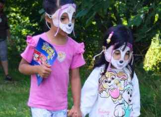 Fundraising Ideas for Paw Patrol Youngsters: Helping Dog Rescuers news-17092024-204746