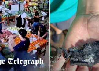 Israel-Hamas Conflict Update: Allegations of Israel Smuggling Explosives in Pagers to Hezbollah news-18092024-085612