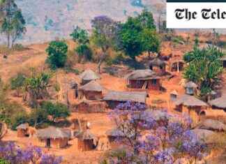 AI advancements in aiding uncharted regions for development: How AI is Making a Difference news-20092024-191347