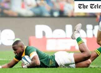 Argentina vs South Africa Rugby Championship: Live Score Updates news-22092024-011740