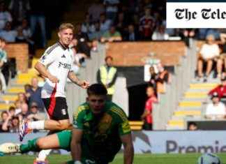 Emile Smith Rowe Shines in Fulham’s Dominant Victory against Newcastle news-22092024-092351