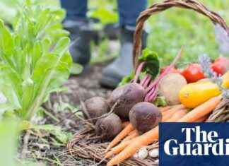 Wash Homegrown Produce to Avoid Chemical Contamination in Lancashire news-24092024-161944