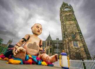 Giant Creepy Baby Statue Leaves Locals Shocked in Town Center news-26092024-050807