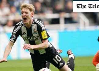 Newcastle United vs Manchester City: Premier League Score and Updates news-28092024-155825