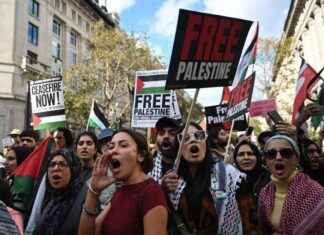 Met Police detain 17 protesters in London pro-Palestinian rallies news-06102024-035023