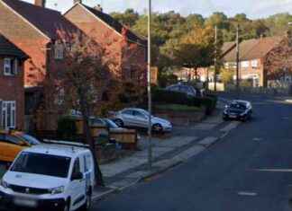 Children Attacked by Dogs in South London: Hospitalized Victims of Dog Attack news-06102024-035047