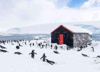 Remote Job Opportunity: UK Team to Spend 5 Months in Constant Daylight news-09102024-044141