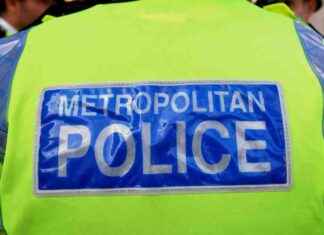 Former Police Officer Accused of Intimidating Neighbors with Hose in Dog Poo Dispute news-09102024-224817