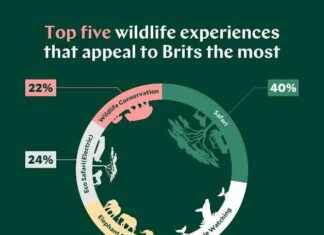 Top Animals Brits Want to See on Holiday: Elephants Lead the Pack news-12102024-112641