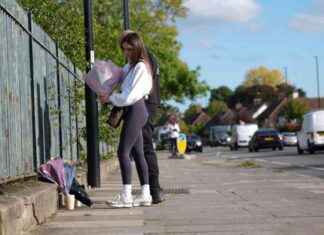 Tragic Accident: Pregnant Woman and Unborn Child Killed in Collision with Unmarked Police Car news-18102024-222539