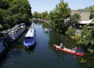Investigation Launched After Dozens of Swans Found Dead in London Canal news-19102024-042706